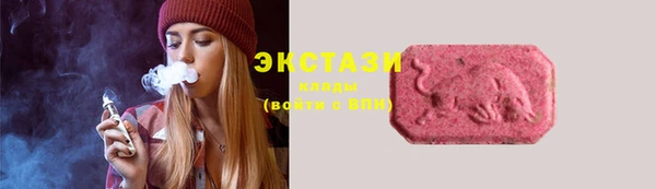 крисы Армянск