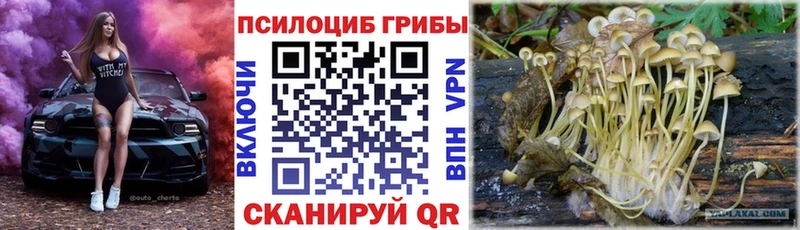 Псилоцибиновые грибы мицелий  darknet Telegram  Тейково  купить  сайты 